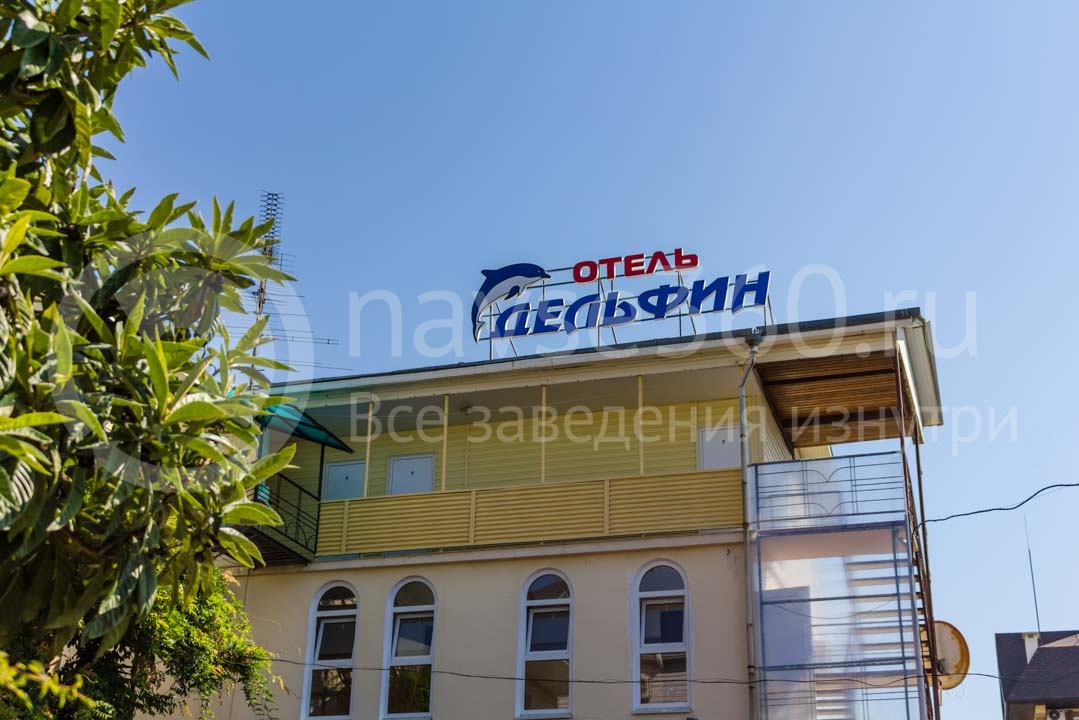 Отель Дельфин в Сочи 2