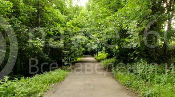 тропа здоровья