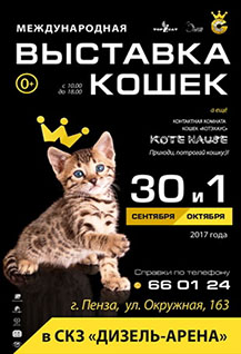 Международная выставка кошек «Золотая кошка»