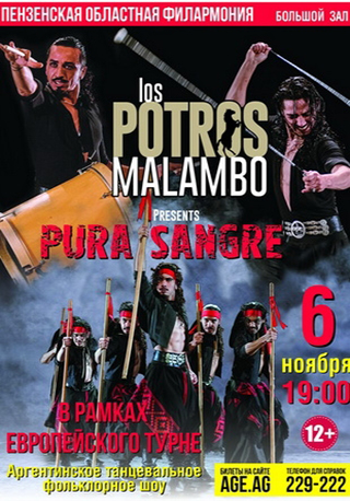 Аргентинское танцевальное фольклорное шоу Los Potros Malambo